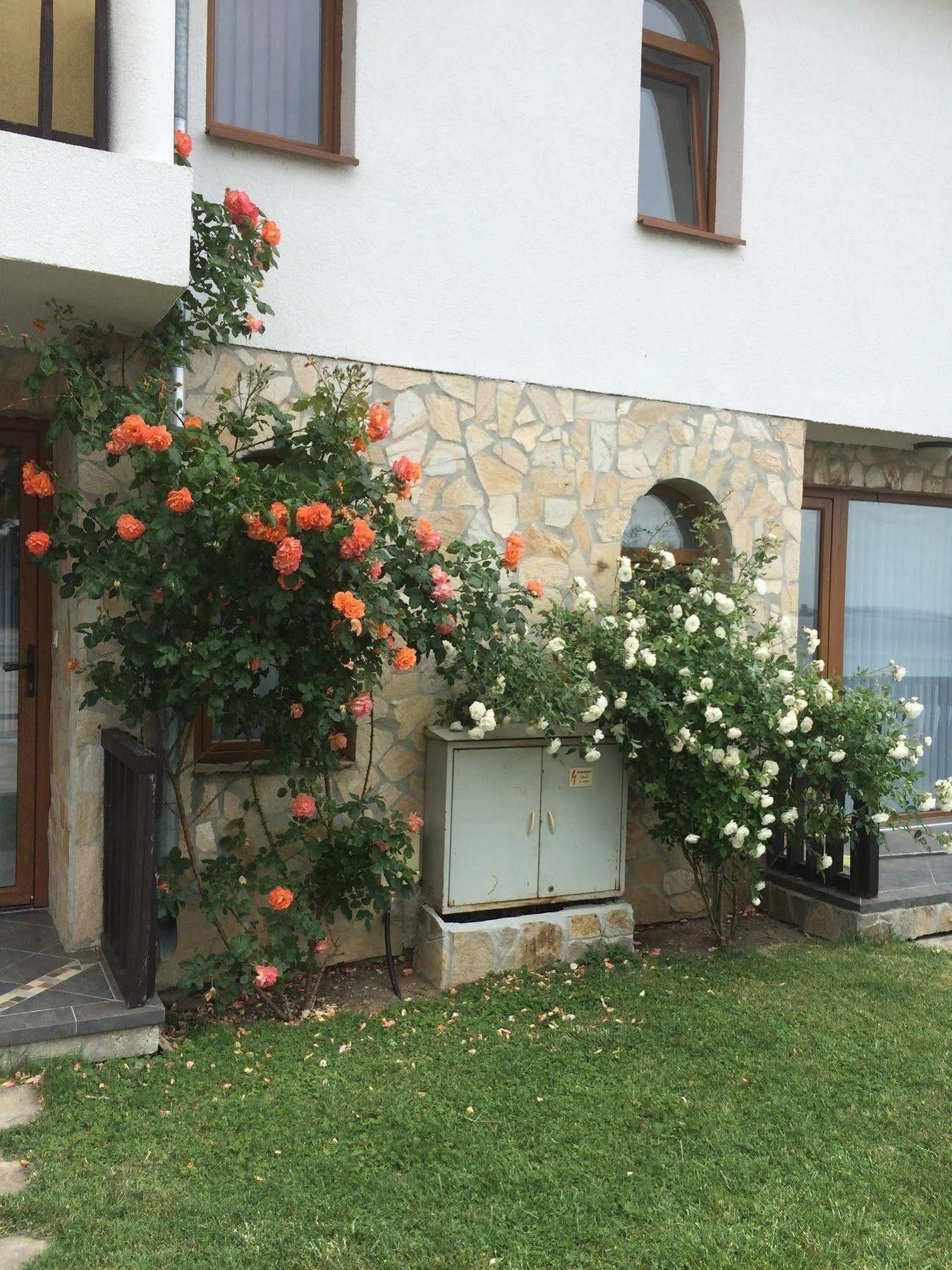 Tsb Sun Coast Apartments Sveti Vlas Exterior photo